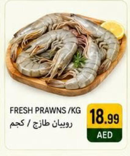 available at Rawabi Market Ajman in UAE - Sharjah / Ajman