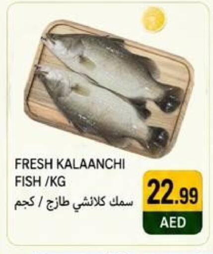 available at  روابي ماركت عجمان in الإمارات العربية المتحدة , الامارات - الشارقة / عجمان