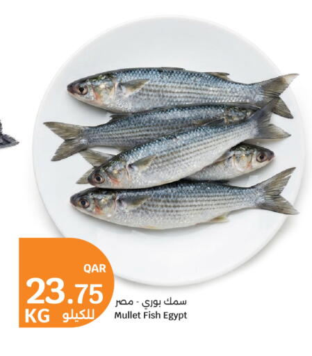 available at City Hypermarket in Qatar - Doha