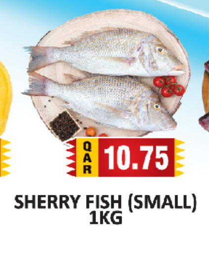 available at AL HABARI FOOD STUFF (FS2) in Qatar - Doha