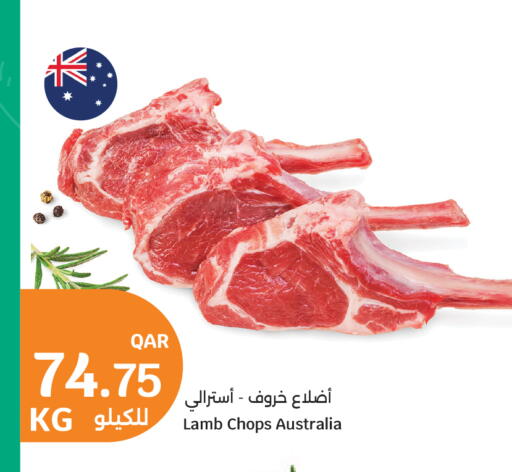 available at City Hypermarket in Qatar - Al Rayyan