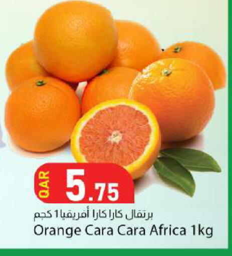 Orange available at دانا ماركت in قطر - الضعاين