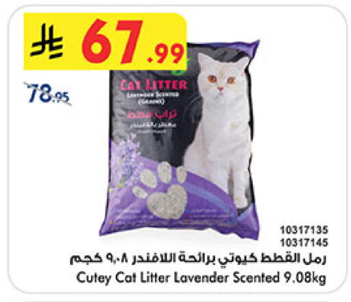 available at بن داود in مملكة العربية السعودية, السعودية, سعودية - المدينة المنورة