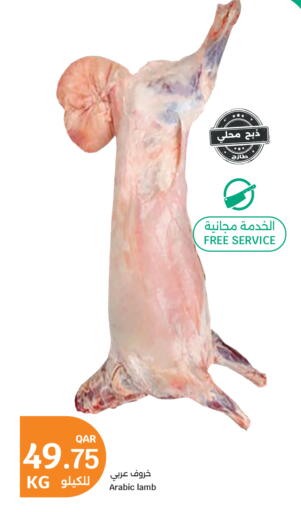 available at City Hypermarket in Qatar - Al Rayyan