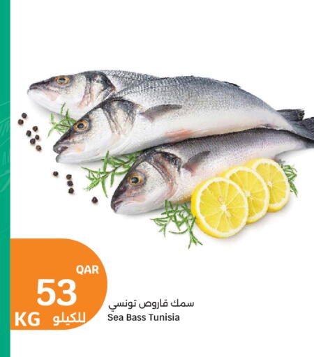 available at سيتي هايبرماركت in قطر - الدوحة
