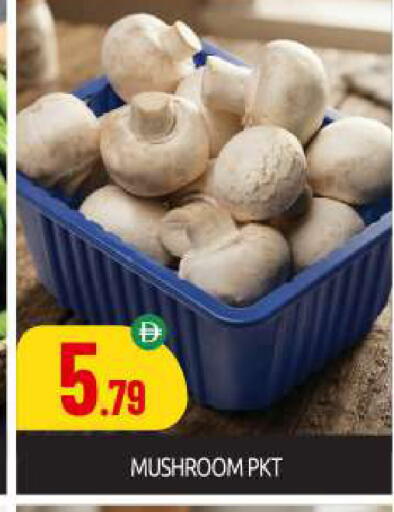 Mushroom available at بيج مارت in الإمارات العربية المتحدة , الامارات - أبو ظبي