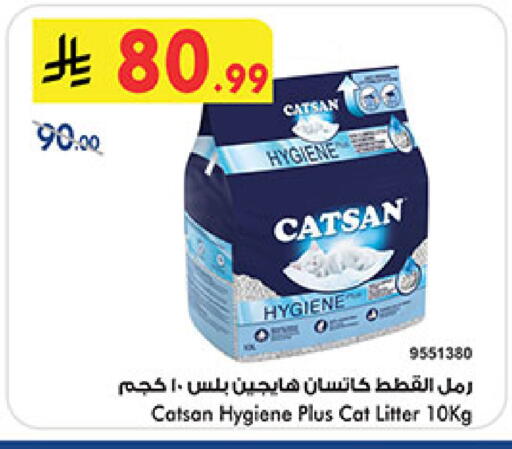 available at بن داود in مملكة العربية السعودية, السعودية, سعودية - المدينة المنورة