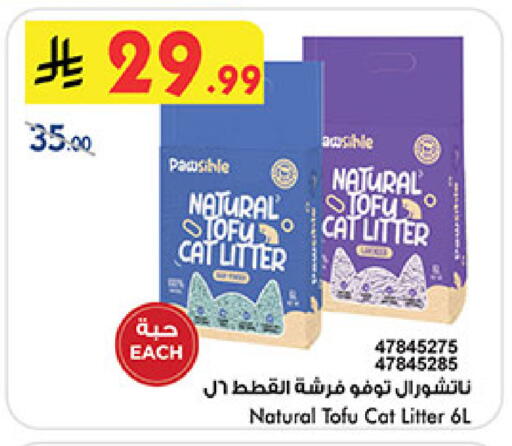 available at بن داود in مملكة العربية السعودية, السعودية, سعودية - المدينة المنورة