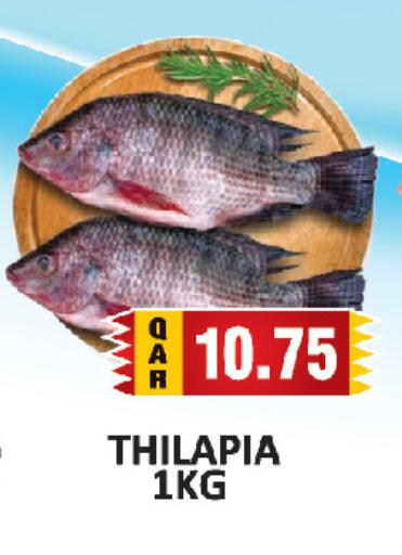 available at AL HABARI FOOD STUFF (FS2) in Qatar - Doha