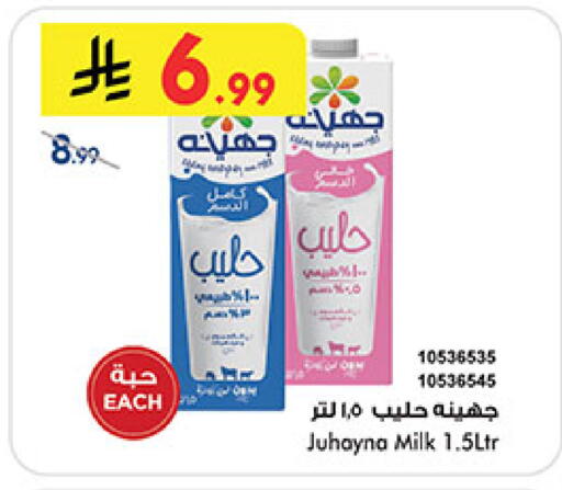 available at بن داود in مملكة العربية السعودية, السعودية, سعودية - المدينة المنورة