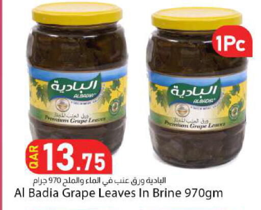 available at دانا ماركت in قطر - الضعاين