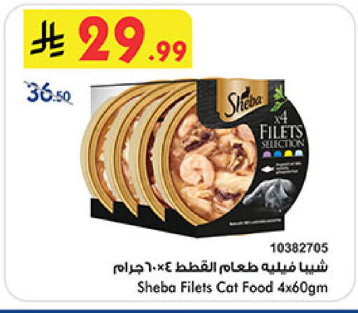 available at بن داود in مملكة العربية السعودية, السعودية, سعودية - المدينة المنورة