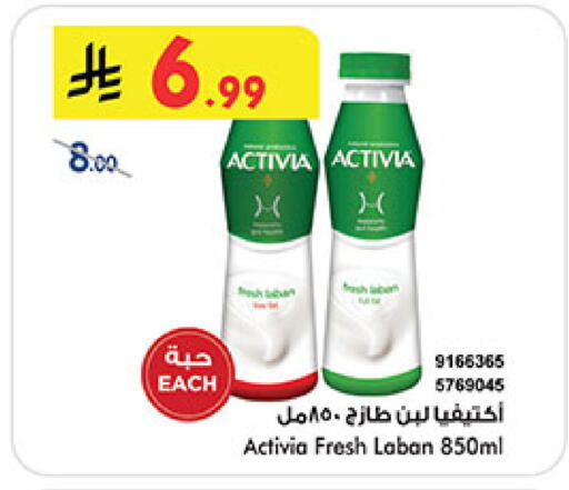 available at بن داود in مملكة العربية السعودية, السعودية, سعودية - المدينة المنورة