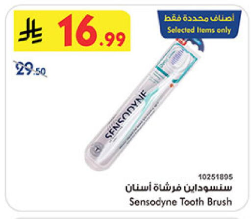 available at بن داود in مملكة العربية السعودية, السعودية, سعودية - المدينة المنورة