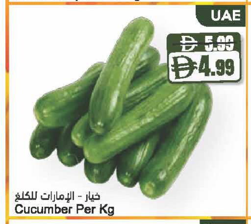 Cucumber available at Almaya Supermarkets in UAE - Dubai