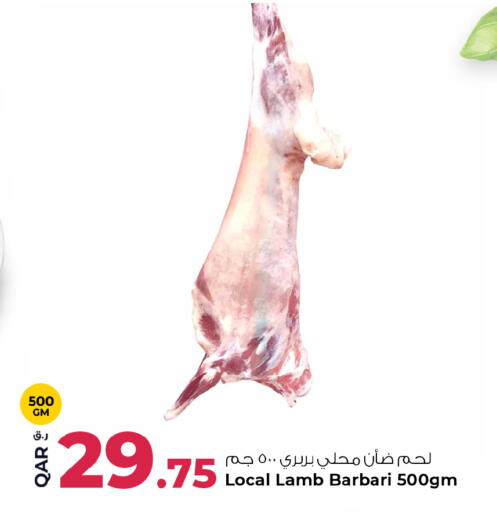 available at روابي هايبرماركت in قطر - الوكرة