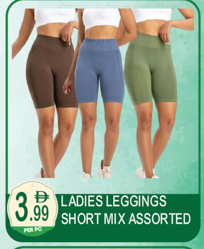 available at دريم لاند in الإمارات العربية المتحدة , الامارات - دبي