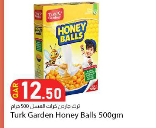available at دانا ماركت in قطر - الضعاين