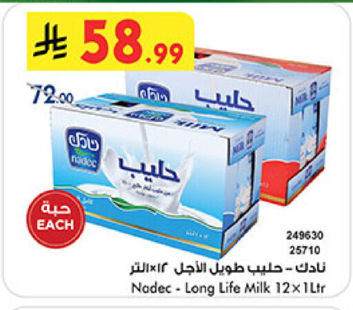 available at بن داود in مملكة العربية السعودية, السعودية, سعودية - المدينة المنورة