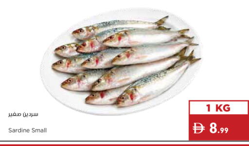 available at Istanbul Supermarket in UAE - Ras al Khaimah