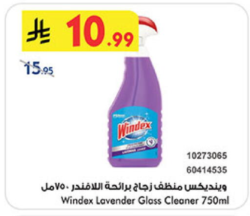 available at بن داود in مملكة العربية السعودية, السعودية, سعودية - المدينة المنورة
