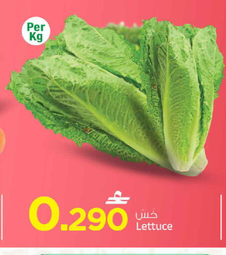 Lettuce available at MARK & SAVE in Oman - Muscat