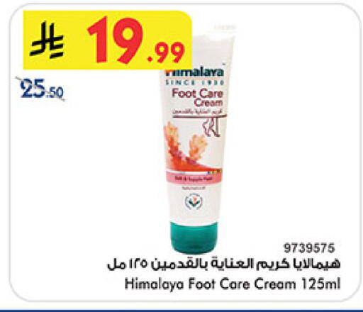 available at بن داود in مملكة العربية السعودية, السعودية, سعودية - المدينة المنورة