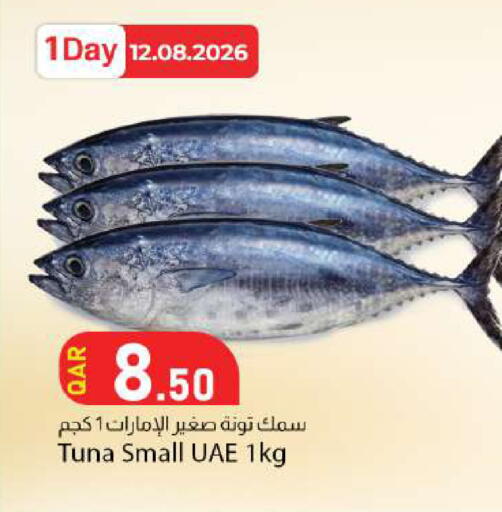 available at دانا ماركت in قطر - الضعاين