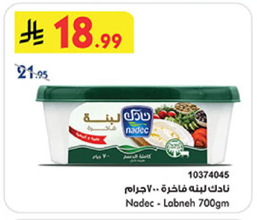 available at بن داود in مملكة العربية السعودية, السعودية, سعودية - المدينة المنورة