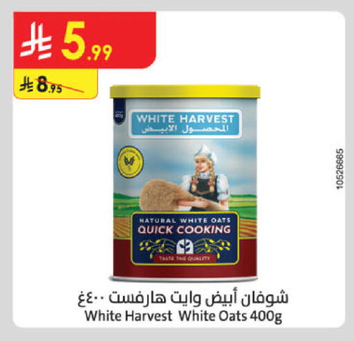 available at الدانوب in مملكة العربية السعودية, السعودية, سعودية - المدينة المنورة