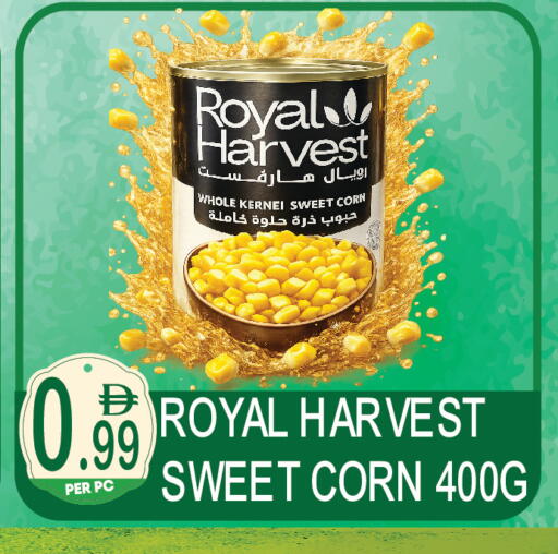 available at دريم لاند in الإمارات العربية المتحدة , الامارات - دبي