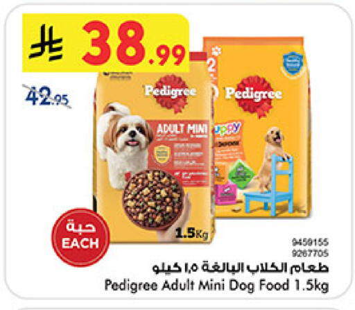 available at بن داود in مملكة العربية السعودية, السعودية, سعودية - المدينة المنورة