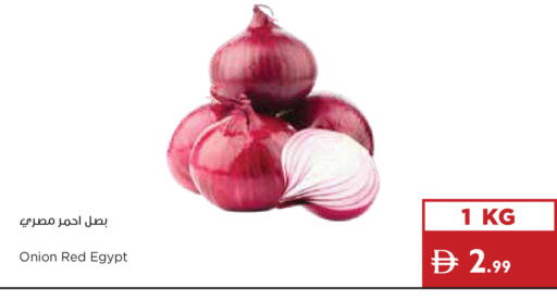 Onion from Egypt available at Istanbul Supermarket in UAE - Ras al Khaimah