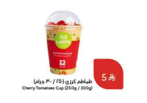 Cherry Tomato available at Hyper Panda in KSA, Saudi Arabia, Saudi - Al Khobar