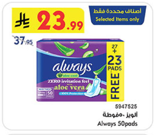 available at بن داود in مملكة العربية السعودية, السعودية, سعودية - المدينة المنورة