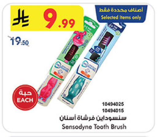 available at بن داود in مملكة العربية السعودية, السعودية, سعودية - المدينة المنورة