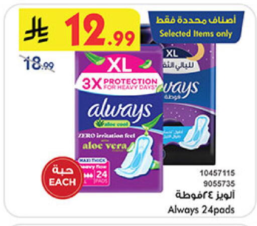available at بن داود in مملكة العربية السعودية, السعودية, سعودية - المدينة المنورة