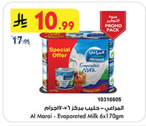 available at بن داود in مملكة العربية السعودية, السعودية, سعودية - المدينة المنورة