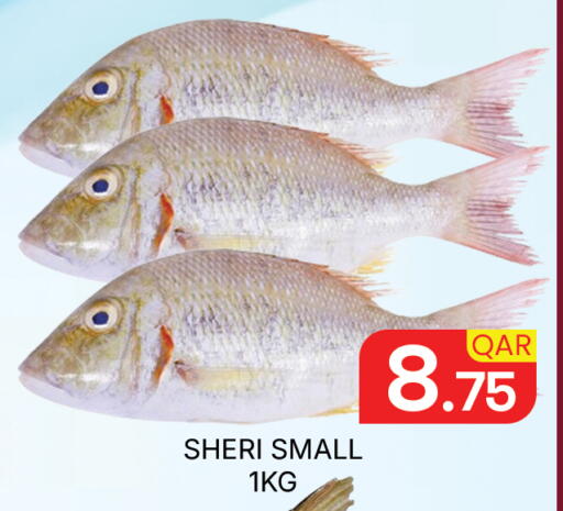 available at مجلس هايبرماركت in قطر - الدوحة