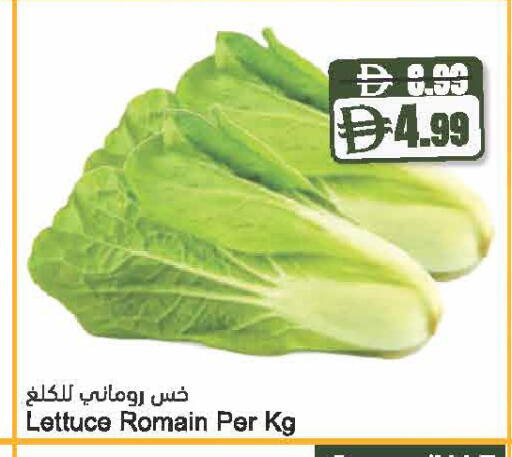 Lettuce available at Almaya Supermarkets in UAE - Dubai