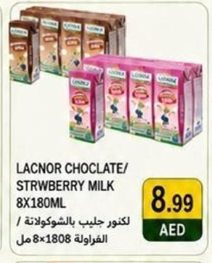 available at  روابي ماركت عجمان in الإمارات العربية المتحدة , الامارات - الشارقة / عجمان
