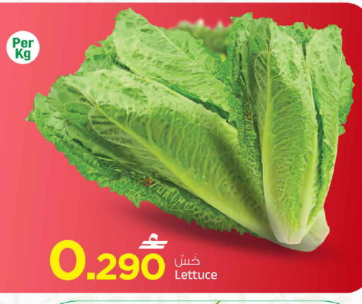 Lettuce available at MARK & SAVE in Oman - Muscat