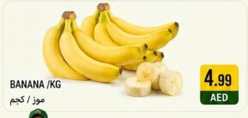 Banana available at  روابي ماركت عجمان in الإمارات العربية المتحدة , الامارات - الشارقة / عجمان