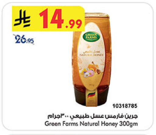 available at بن داود in مملكة العربية السعودية, السعودية, سعودية - المدينة المنورة