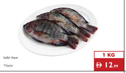 available at Istanbul Supermarket in UAE - Sharjah / Ajman