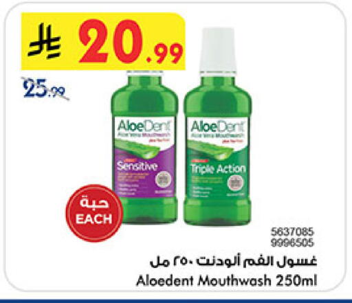 available at بن داود in مملكة العربية السعودية, السعودية, سعودية - المدينة المنورة
