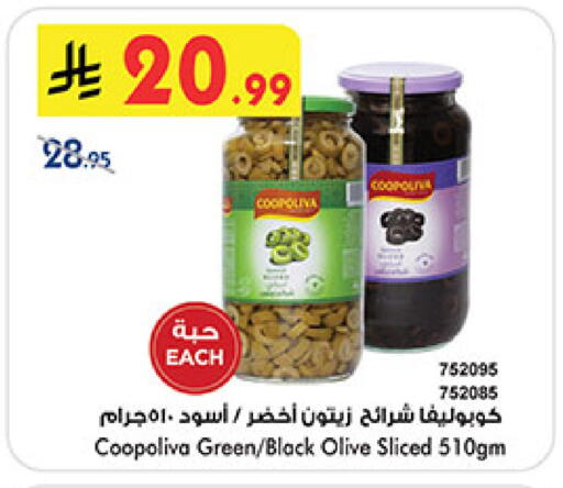 available at بن داود in مملكة العربية السعودية, السعودية, سعودية - المدينة المنورة