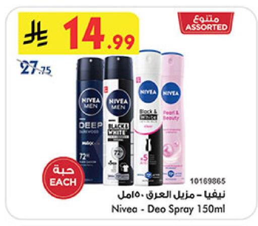 available at بن داود in مملكة العربية السعودية, السعودية, سعودية - المدينة المنورة