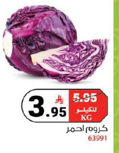 available at هاوس كير in مملكة العربية السعودية, السعودية, سعودية - مكة المكرمة