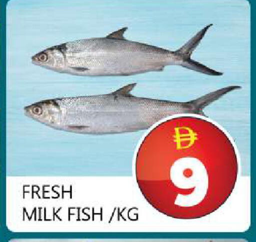 available at Souk Al Mubarak Hypermarket in UAE - Sharjah / Ajman